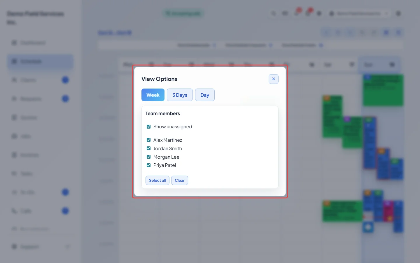 The View Options window with Week, 3 Days and Day and the team member list